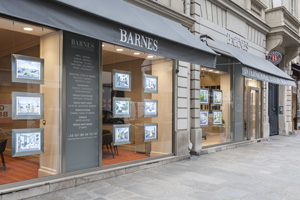 BARNES Investment Consulting