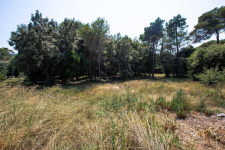 Terrain Biot - Ref 2217704