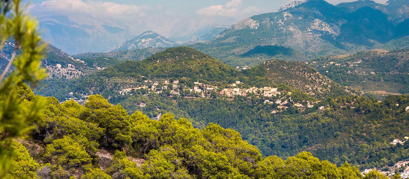 Découvrir Cannes et sa région